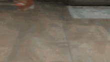 an orange and white cat is playing with a red ball