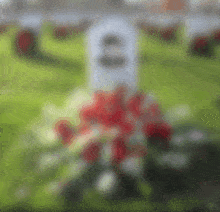a blurred image of a cemetery with flowers and a gravestone with the number 10 on it