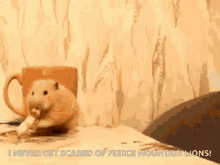 Hamster Mouse GIF