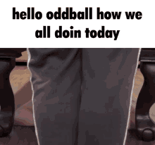 Oddball Oddball Adventures GIF - Oddball Oddball Adventures Oddball Studios GIFs