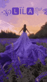 a woman in a long purple dress is in a field of purple flowers