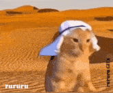 a cat wearing a turban in the desert with rururu written on the bottom