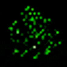 a blurred image of a christmas tree made of green lights on a black background .
