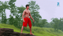 a shirtless man in red shorts stands on a rock in a field with a zee tv logo