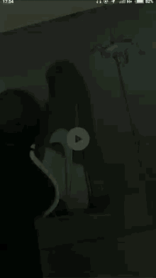 paulalalala zapas paulalalala zapas