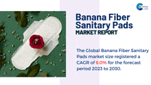 Banana Fiber Sanitary Pads Market Report 2024 GIF