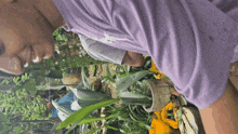 a person in a purple shirt with a jordan logo on it