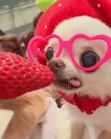 Strawberry Red GIF - Strawberry Red Heart GIFs