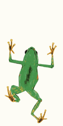 frog grenouille