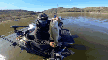 Bass Catch And Release GIF - Bass Catch And Release GIFs