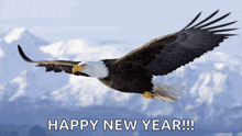 Flying Eagle GIF