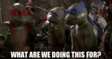 Tmnt Raphael GIF - Tmnt Raphael What Are We Doing This For GIFs