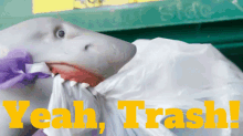 Shark Puppet Yeah Trash GIF - Shark Puppet Yeah Trash Trash GIFs
