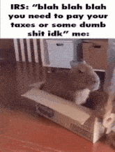 a cat is sitting in a cardboard box with the words irs blah blah blah
