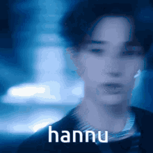 Hannu Hanuri GIF - Hannu Hanuri Hansel GIFs