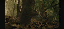 a man and a woman are fighting in the woods and the woman has the number 4 on her shirt