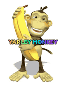 Yarley Monkey GIF