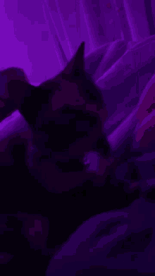 a person is laying on a bed with a purple light shining on them .