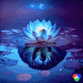 Euphoricwrwc Lotus GIF