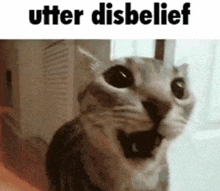 a cat is looking at the camera with its mouth open and the words `` utter disbelief '' written above it .
