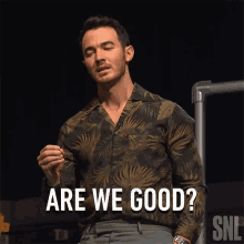 Are We Good Kevin Jonas GIF - Are We Good Kevin Jonas Saturday Night Live GIFs