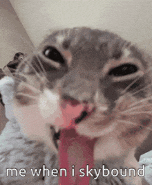 a close up of a cat with its tongue hanging out and the words me when i skybound on the bottom