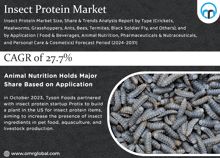 Insect Protein Market GIF