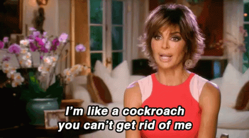 When Your Bf Tries To Break Up With You GIF - Realhousewives Cockroach Cantgetrid GIFs