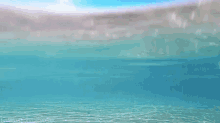Water Sea Beach GIF - Water Sea Beach Ocean GIFs