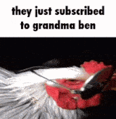 Subscribe Chicken GIF