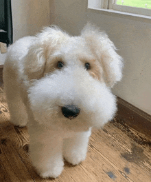Doggy White Dog GIF - Doggy White Dog Fluffy GIFs