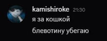 a screenshot of a person 's timeline with the name kamishiroke at the top