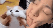 Dolliekyu Jungkook Cat GIF - Dolliekyu Jungkook Cat Jungkook Kitten GIFs