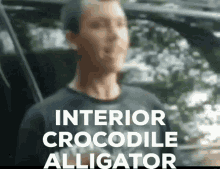 Interior Crocodile GIF - Interior Crocodile Alligator GIFs