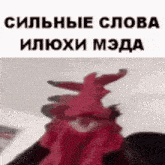 a person is wearing a red hat and holding a red chicken on their head .