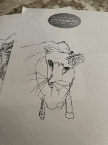 a drawing of a cat is on a piece of paper with the terraces on sir tyler written on it
