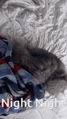 Kratu Cant Sleep GIF - Kratu Cant Sleep Go To Bed GIFs