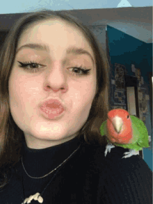 bird cute selfie attack fly