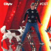 Dog Show Alexandra Cote GIF - Dog Show Alexandra Cote Canadas Got Talent GIFs