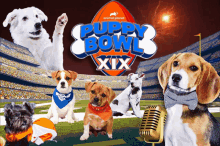 Puppy Bowl GIF - Puppy Bowl Xix GIFs