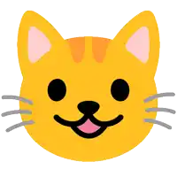 a cat 's face with a big smile on it