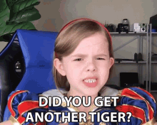 Did You Get Another Tiger Claire Crosby GIF - Did You Get Another Tiger Claire Crosby The Crosbys GIFs