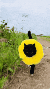 a black cat is wearing a yellow flower shaped collar
