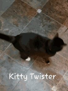 Kitty Twister GIF - Kitty Twister Spin GIFs