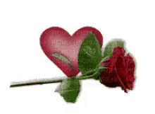 Heart Rose GIF