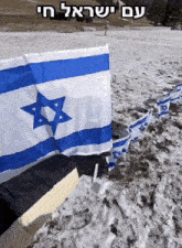 Israel Flag Flags Of The World GIF - Israel Flag Flags Of The World Am Yisrael Chai GIFs