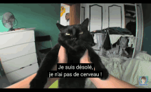 Chat Black Cat GIF - Chat Black Cat Annoyed GIFs