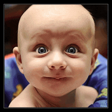 funny baby face pictures with captions