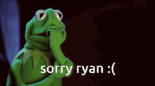 Sorry Ryan Ryan GIF - Sorry Ryan Ryan Sorry GIFs