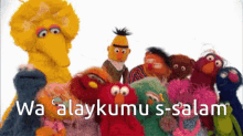 Sesame Street Sesame Response GIF - Sesame Street Sesame Response Salam GIFs